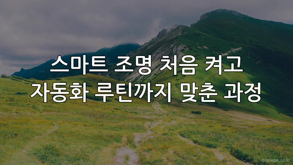 스마트 조명 처음 켜고 자동화 루틴까지 맞춘 과정