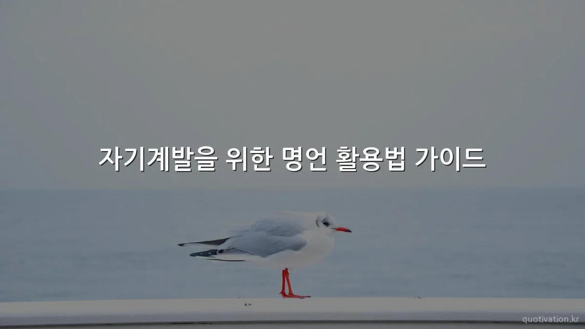 자기계발을 위한 명언 활용법 가이드