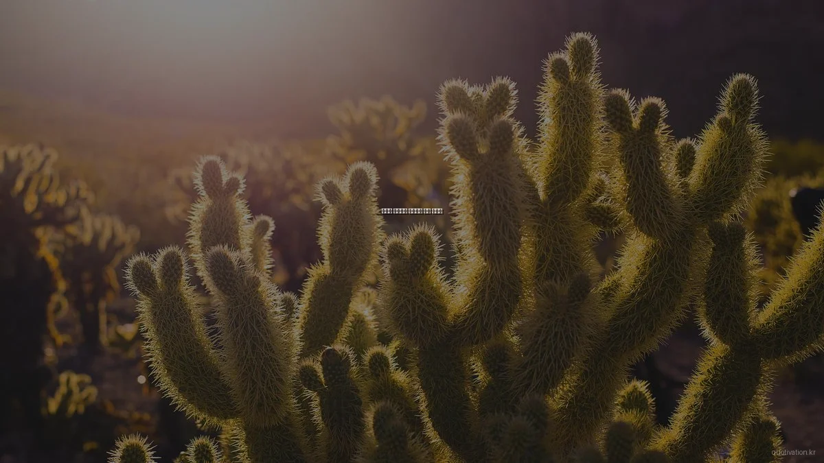 명언과 함께하는 자기계발 전략 인터뷰