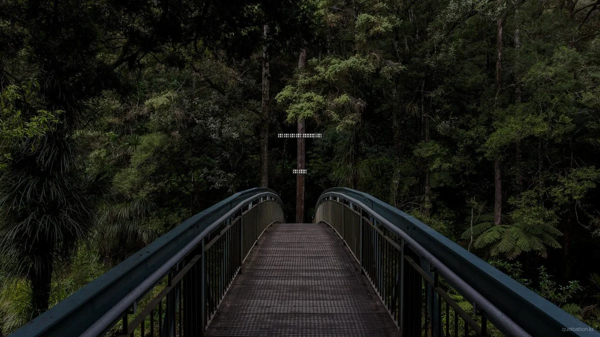 명언 어플 비교 분석: 동기부여를 위한 선택 가이드