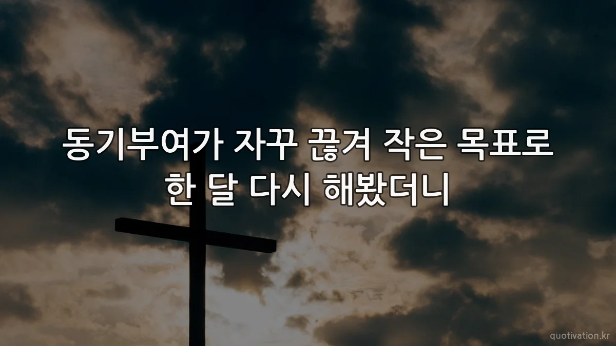 동기부여가 자꾸 끊겨 작은 목표로 한 달 다시 해봤더니