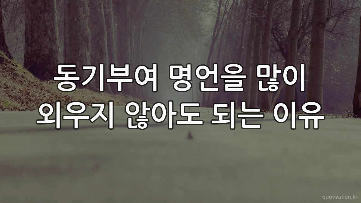 동기부여 명언을 많이 외우지 않아도 되는 이유