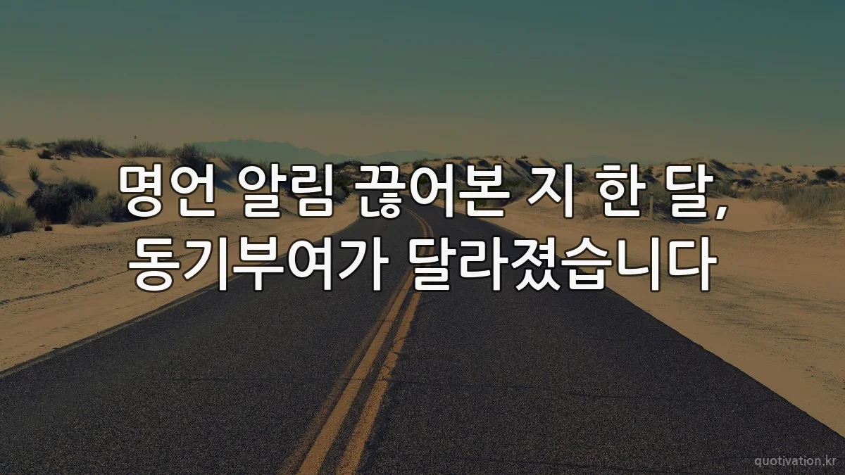 명언 알림 끊어본 지 한 달, 동기부여가 달라졌습니다