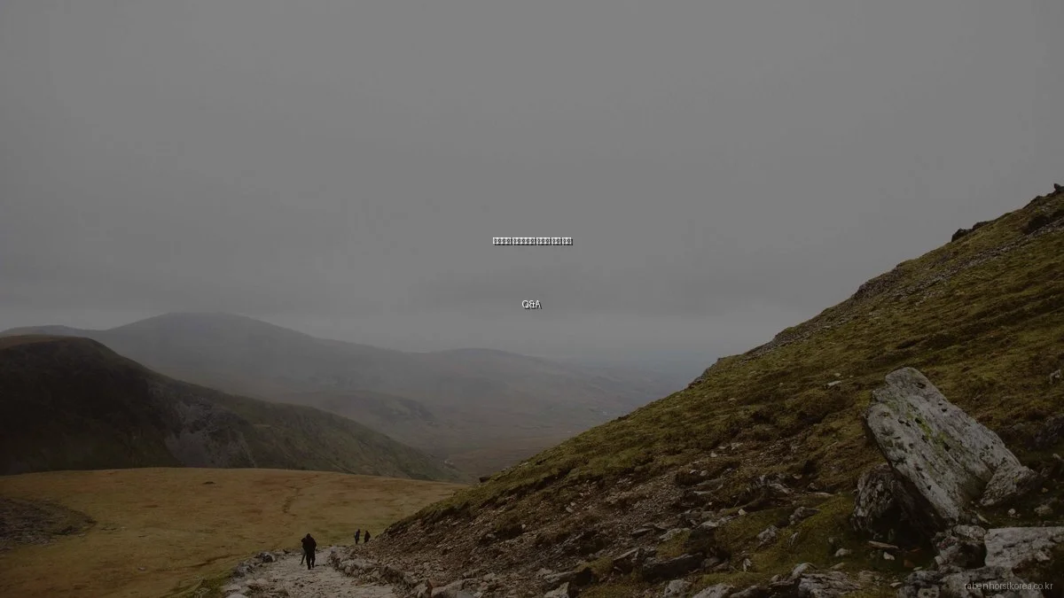 웨지감자 전문가들이 말하는 조리 꿀팁 Q&A