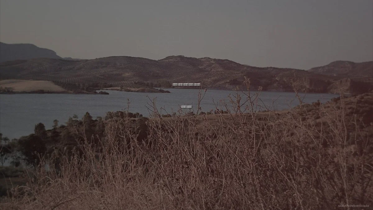 튀김기 없이도 가능한 바삭한 웨지감자 만들기 노하우