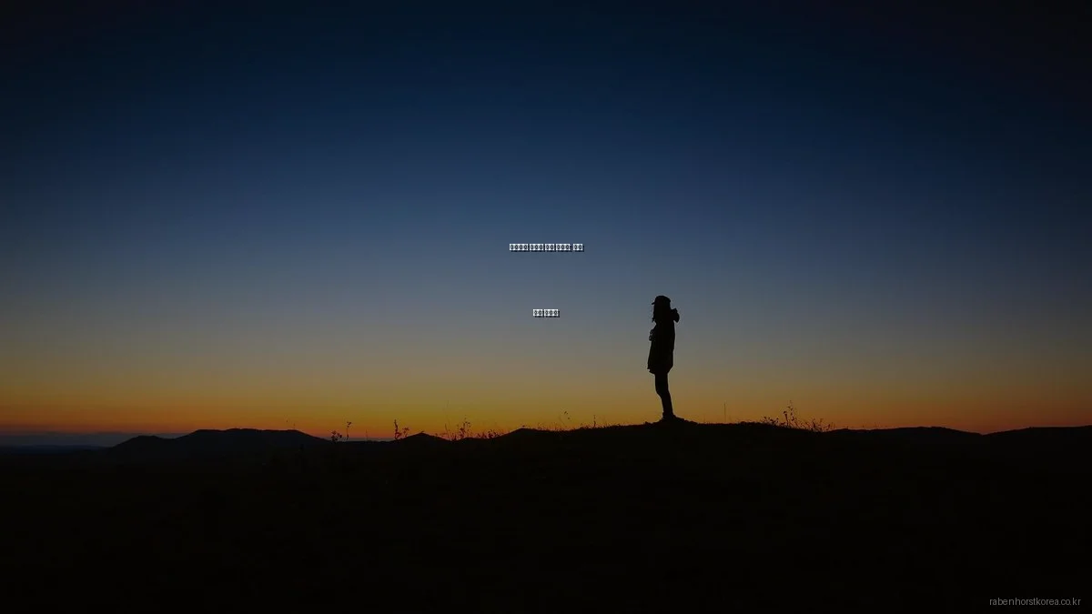 웨지감자 전설의 셰프 인터뷰: 맛의 비결 총정리