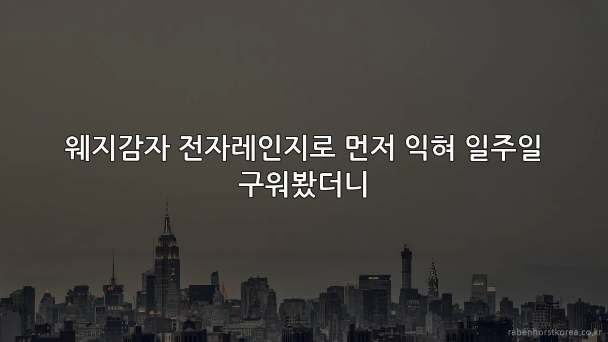 웨지감자 전자레인지로 먼저 익혀 일주일 구워봤더니