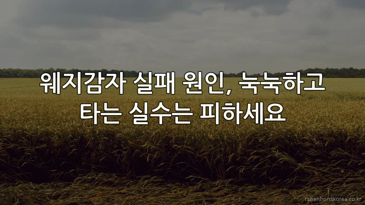 웨지감자 실패 원인, 눅눅하고 타는 실수는 피하세요