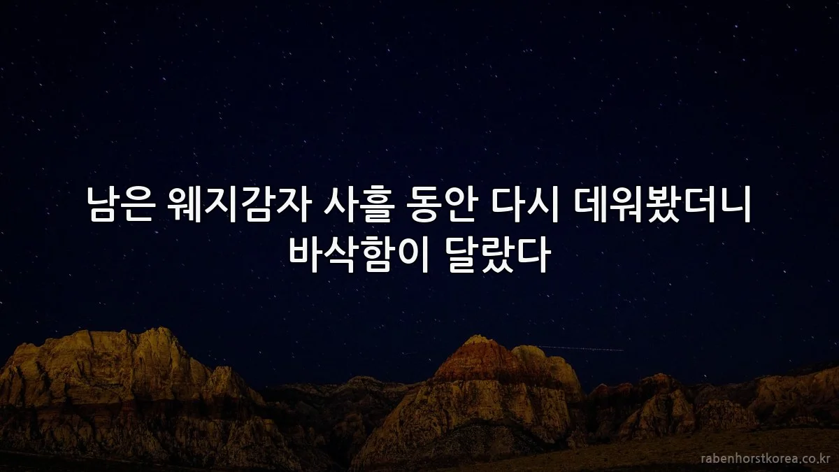 남은 웨지감자 사흘 동안 다시 데워봤더니 바삭함이 달랐다