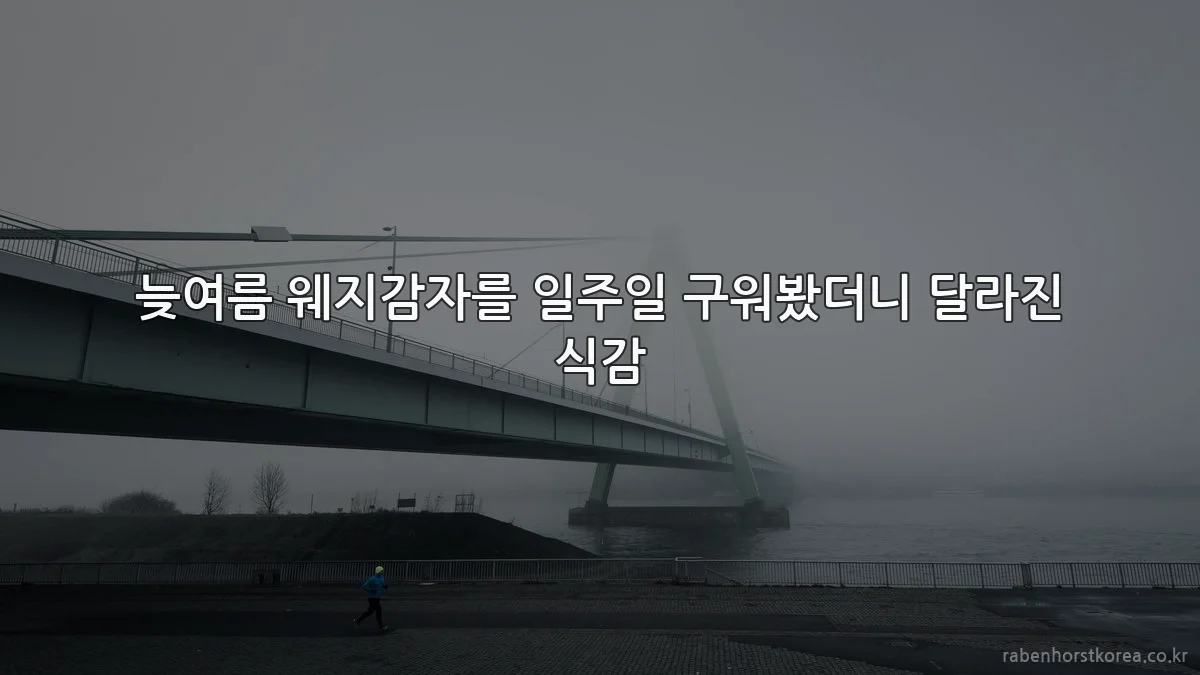 늦여름 웨지감자를 일주일 구워봤더니 달라진 식감