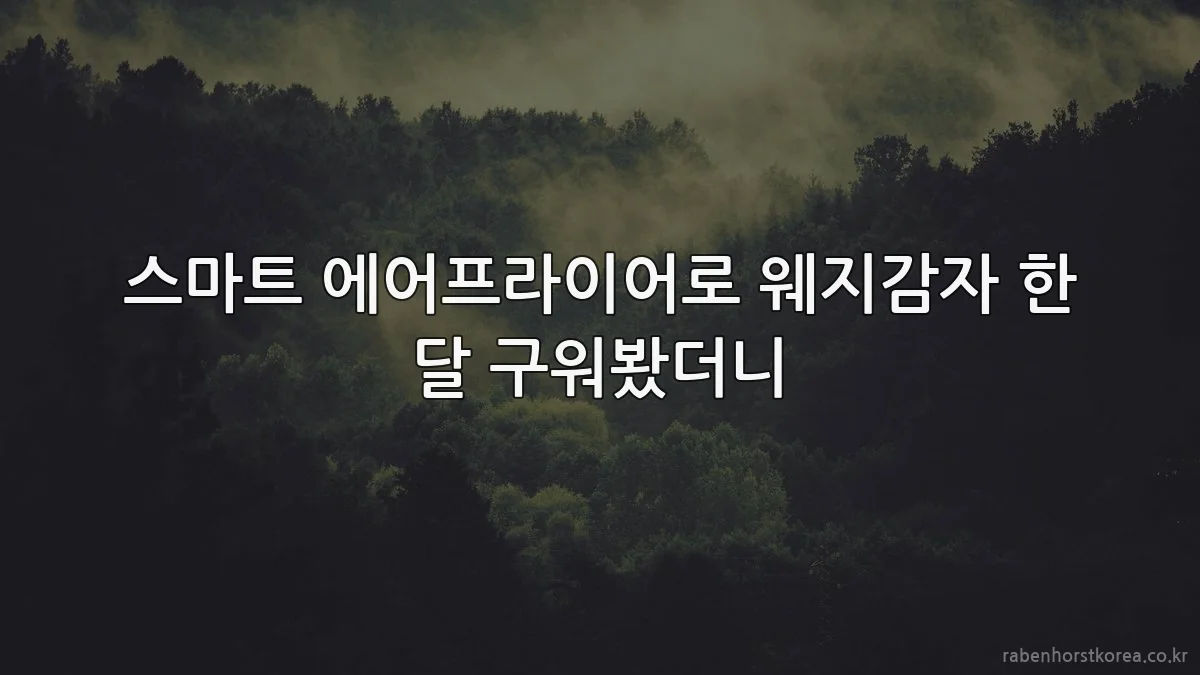 스마트 에어프라이어로 웨지감자 한 달 구워봤더니