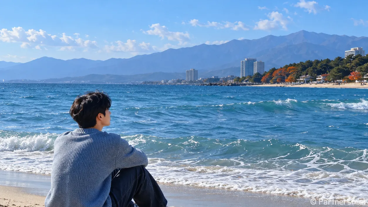 강릉 여행지 추천 …
