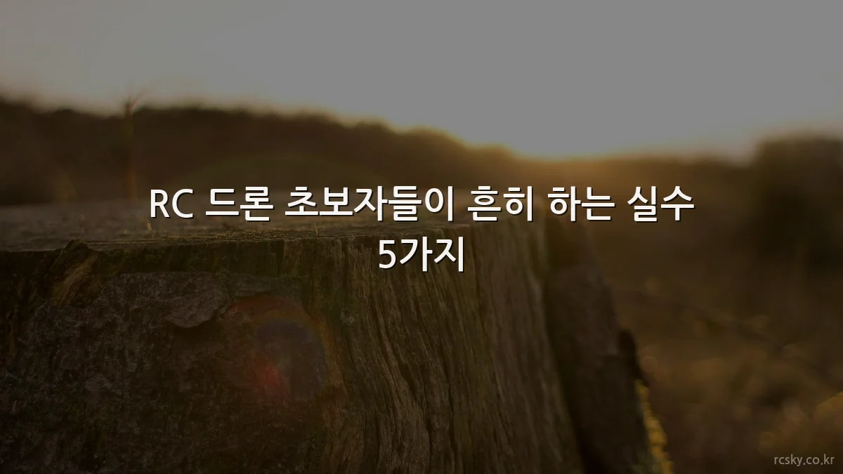 RC 드론 초보자들이 흔히 하는 실수 5가지