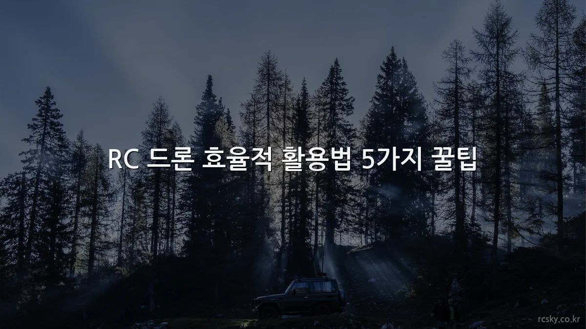 RC 드론 효율적 활용법 5가지 꿀팁