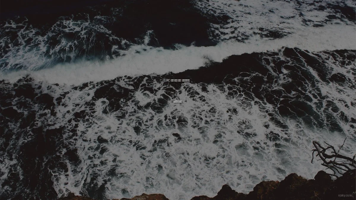 RC 드론 실전 기술: 전문가들이 말하는 비법