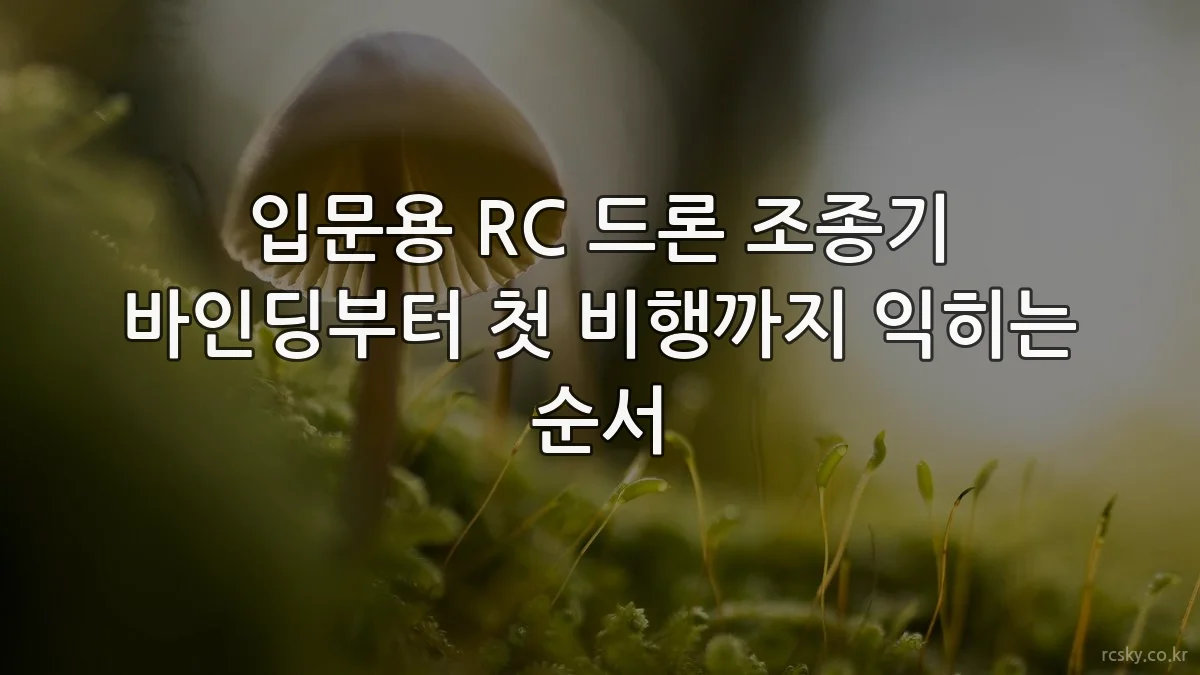 입문용 RC 드론 조종기 바인딩부터 첫 비행까지 익히는 순서