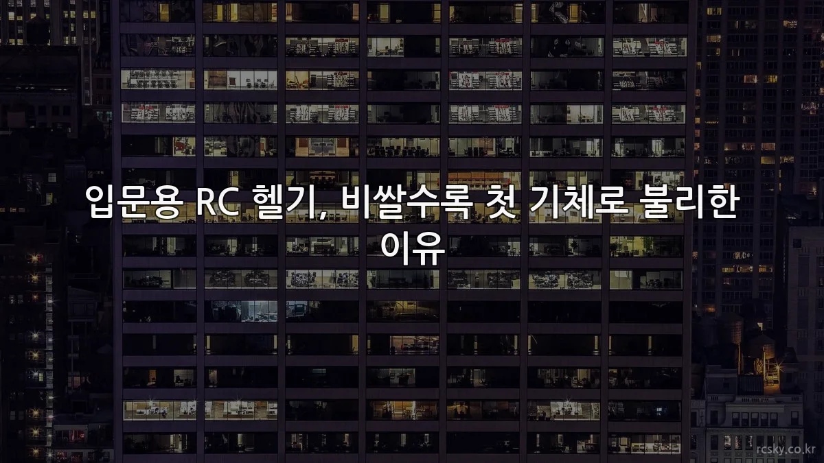 입문용 RC 헬기, 비쌀수록 첫 기체로 불리한 이유