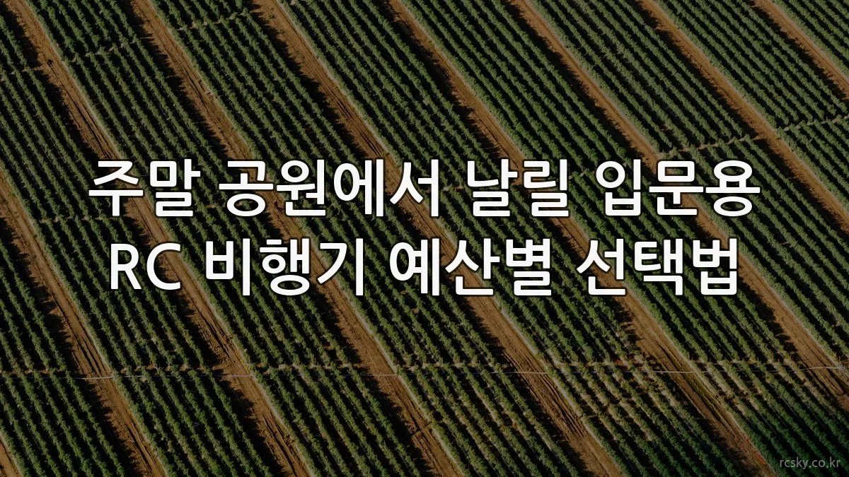 주말 공원에서 날릴 입문용 RC 비행기 예산별 선택법