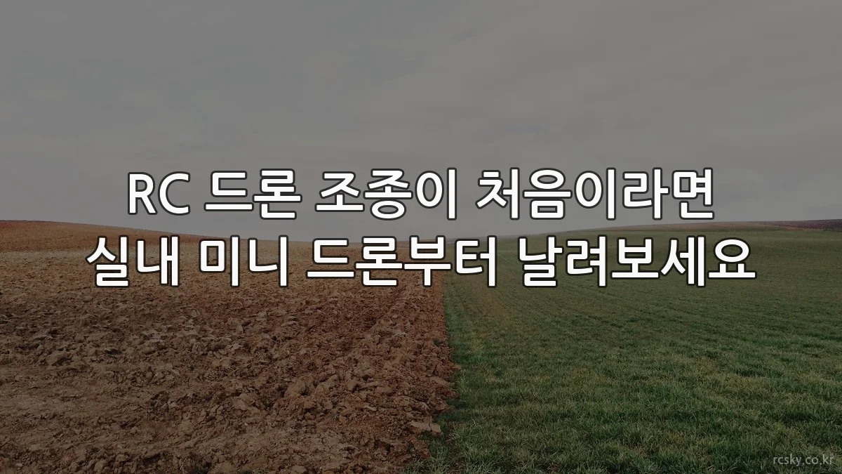 RC 드론 조종이 처음이라면 실내 미니 드론부터 날려보세요