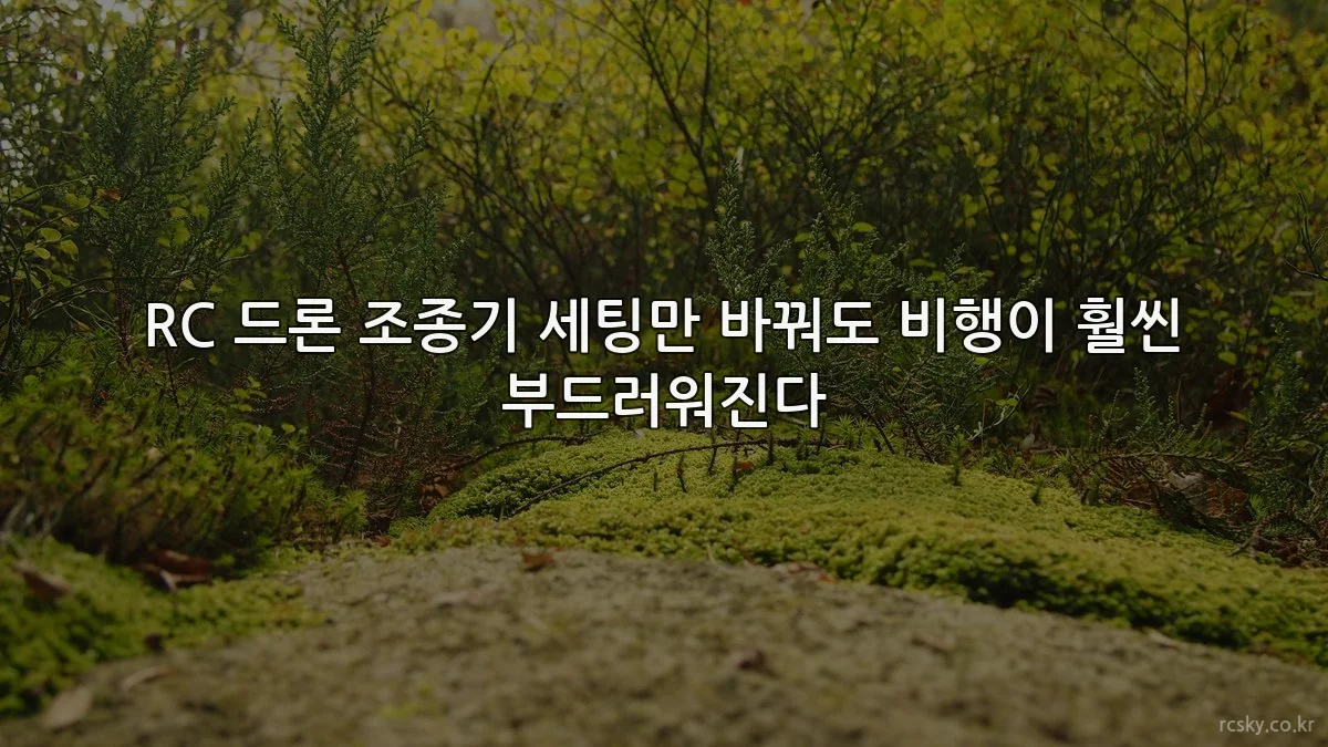 RC 드론 조종기 세팅만 바꿔도 비행이 훨씬 부드러워진다
