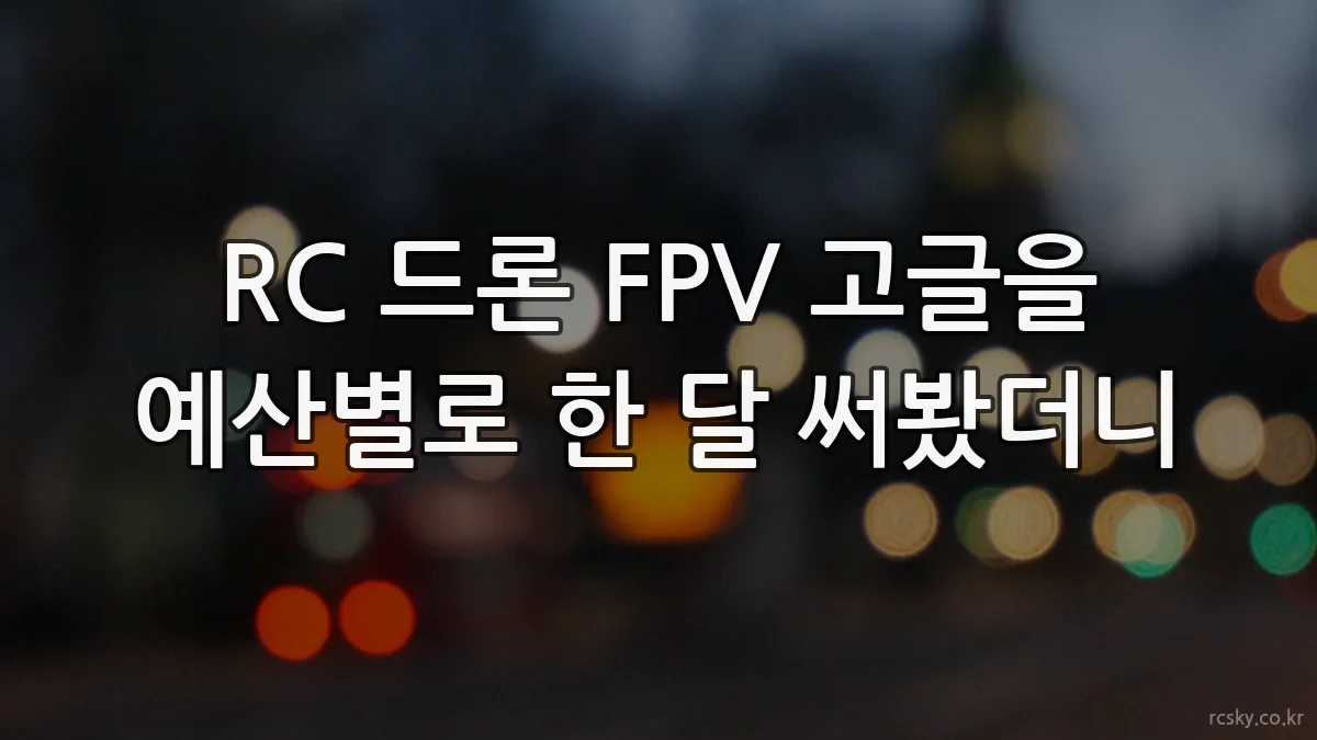RC 드론 FPV 고글을 예산별로 한 달 써봤더니