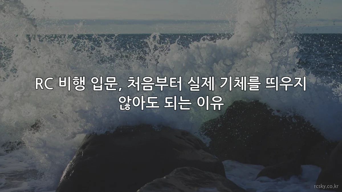 RC 비행 입문, 처음부터 실제 기체를 띄우지 않아도 되는 이유