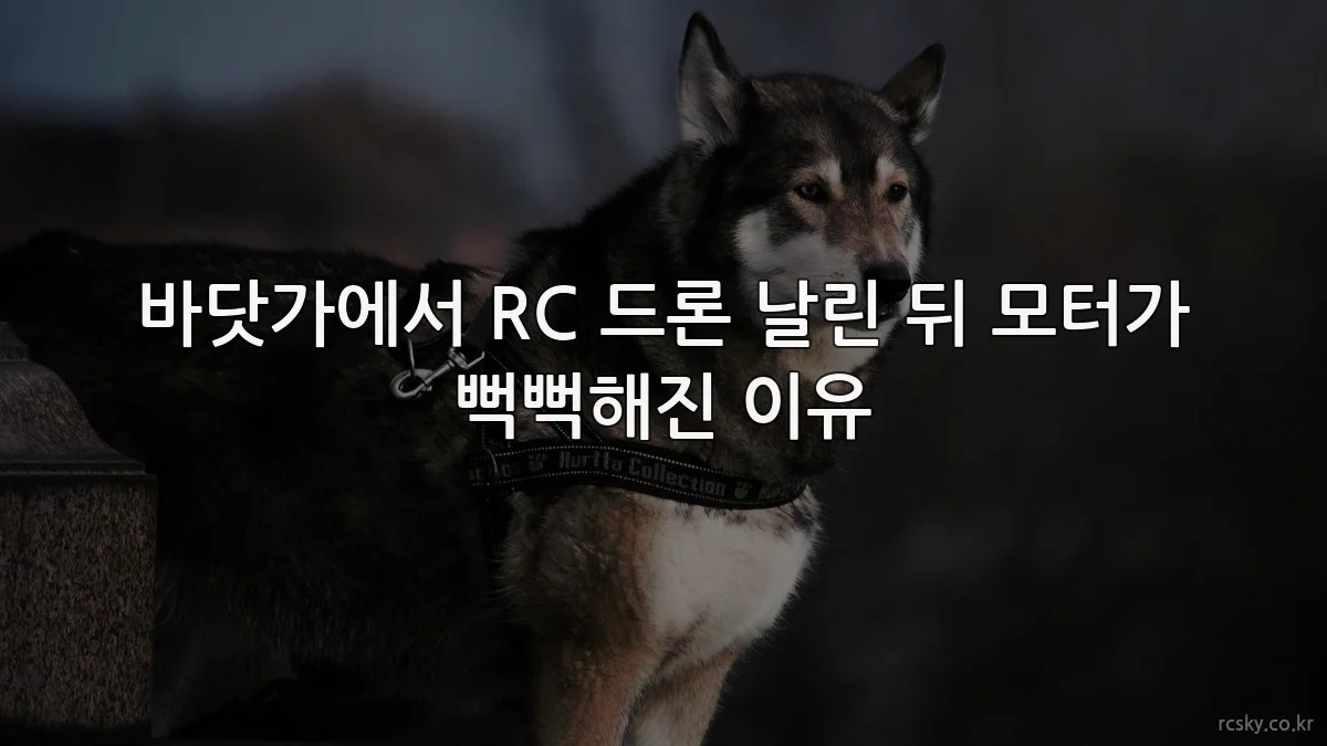 바닷가에서 RC 드론 날린 뒤 모터가 뻑뻑해진 이유