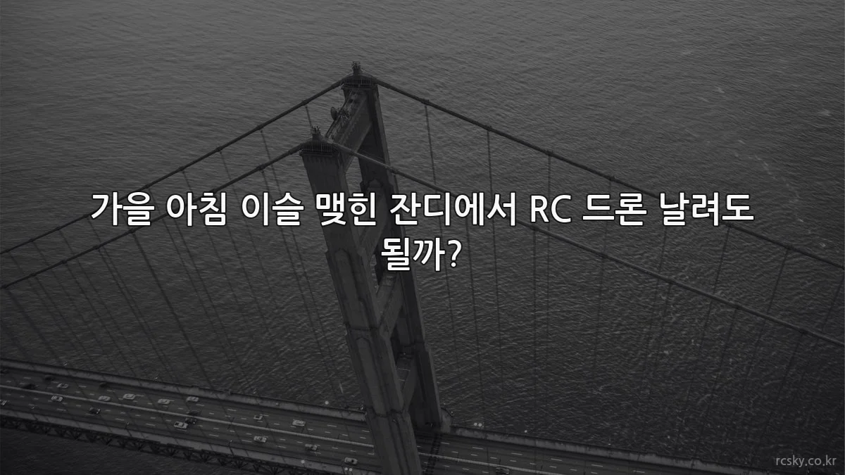 가을 아침 이슬 맺힌 잔디에서 RC 드론 날려도 될까?