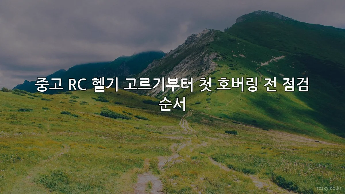 중고 RC 헬기 고르기부터 첫 호버링 전 점검 순서