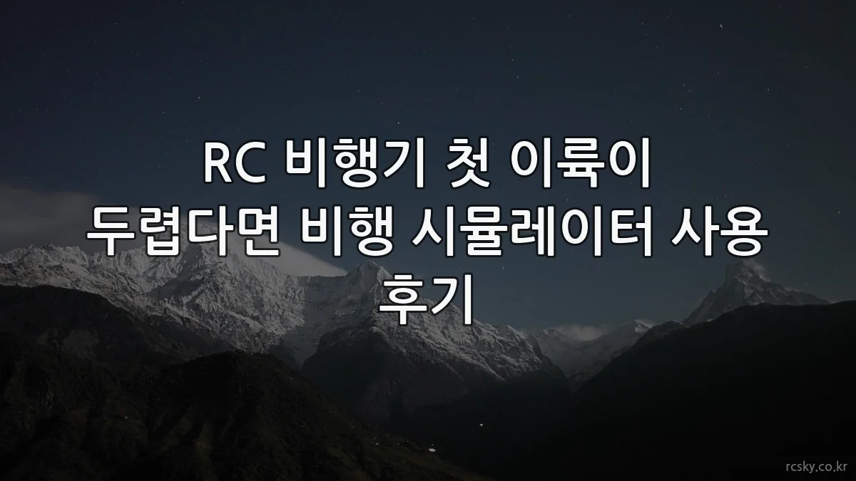 RC 비행기 첫 이륙이 두렵다면 비행 시뮬레이터 사용 후기