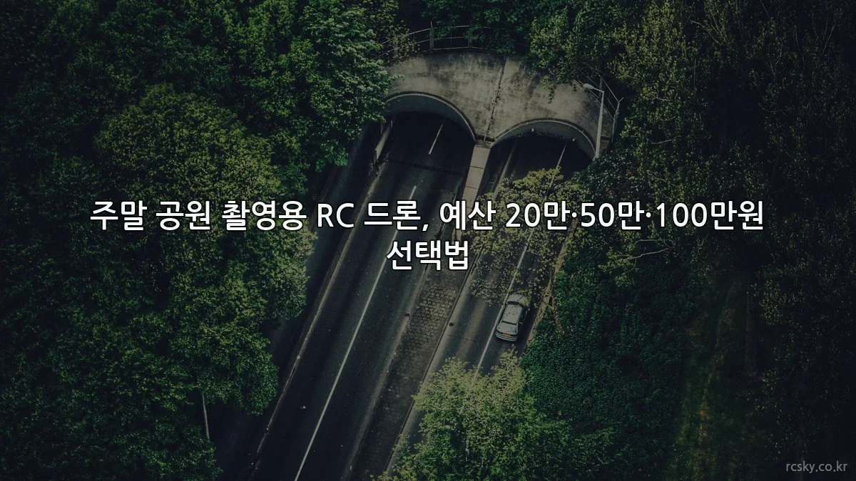 주말 공원 촬영용 RC 드론, 예산 20만·50만·100만원 선택법