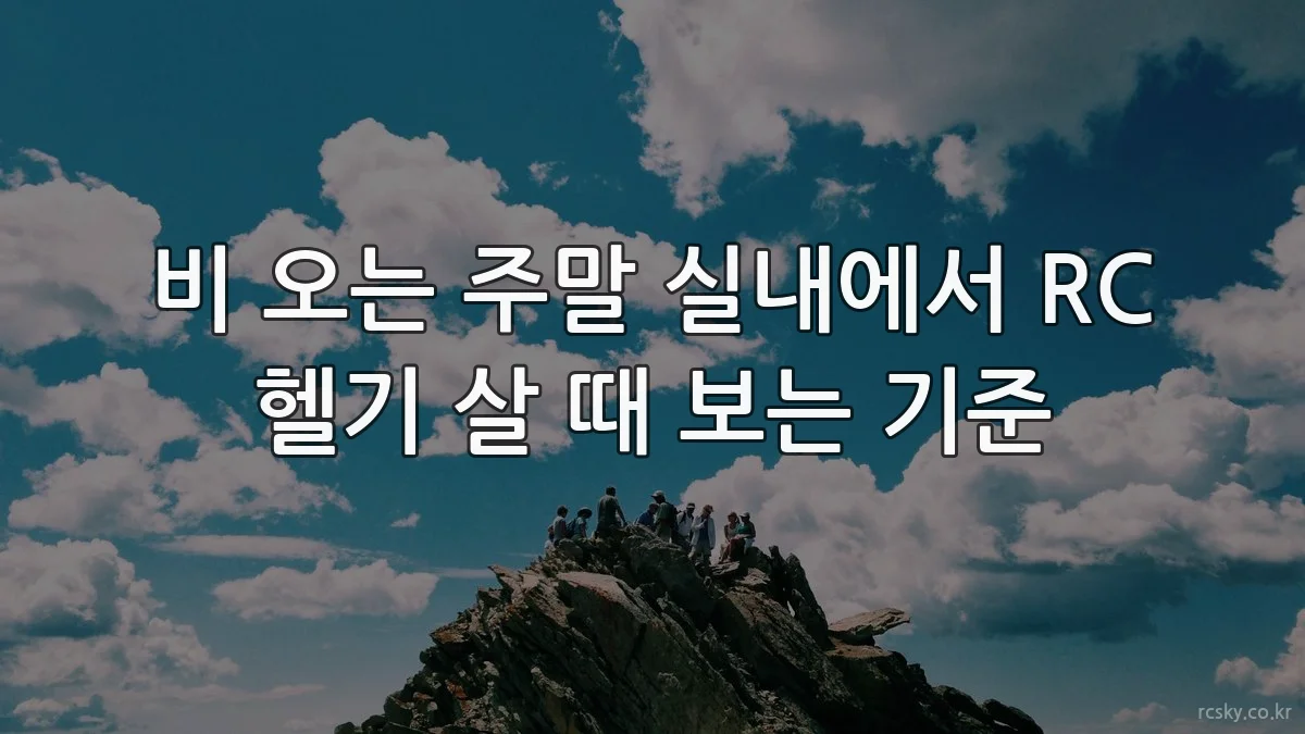 비 오는 주말 실내에서 RC 헬기 살 때 보는 기준