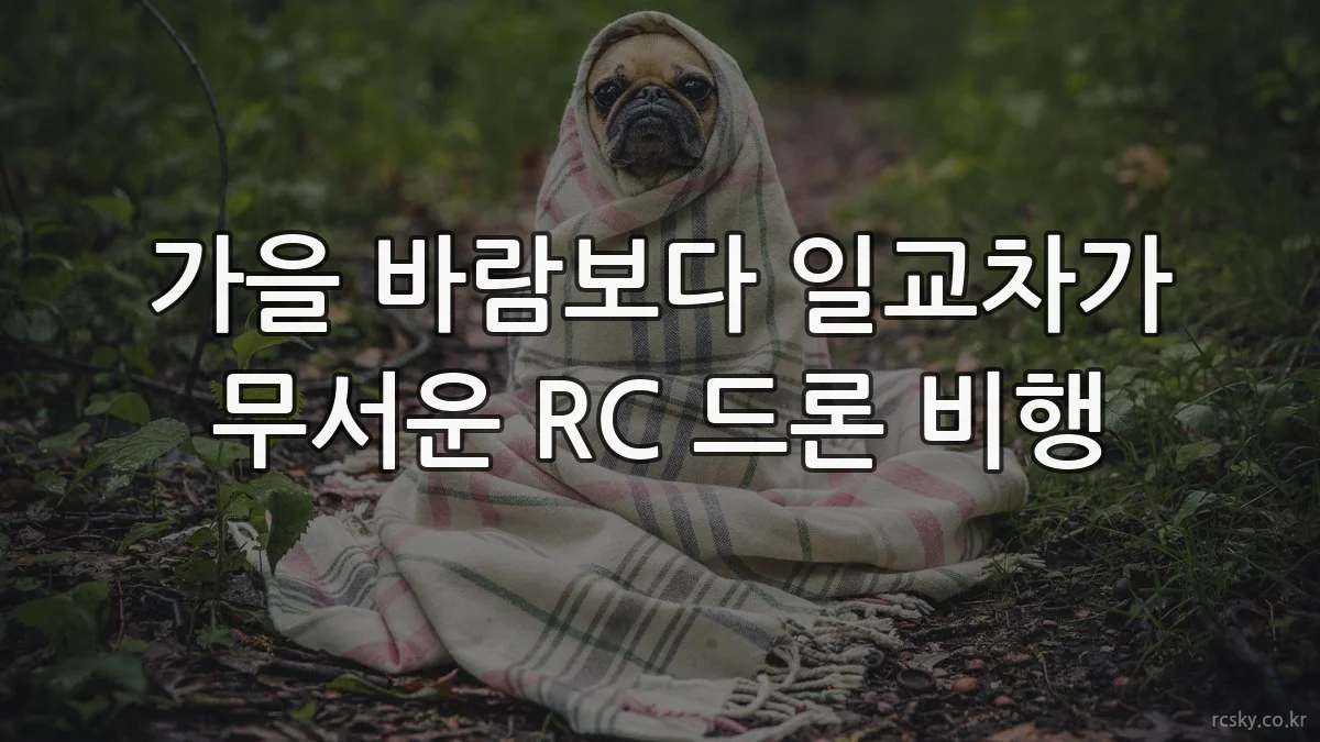 가을 바람보다 일교차가 무서운 RC 드론 비행