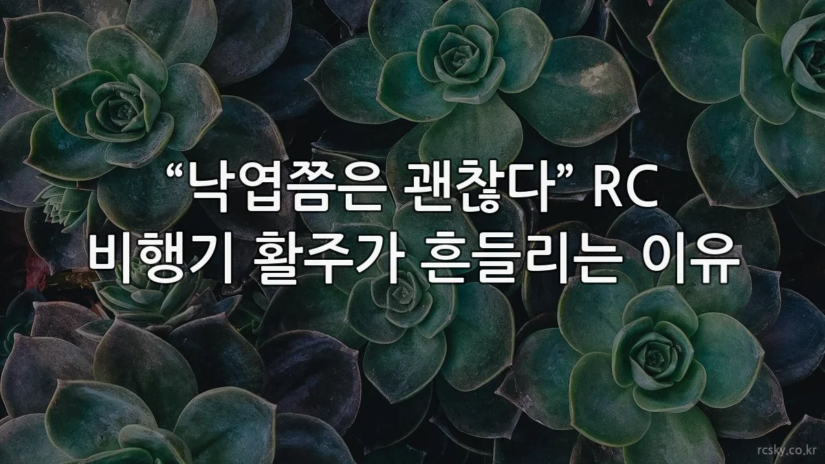“낙엽쯤은 괜찮다” RC 비행기 활주가 흔들리는 이유