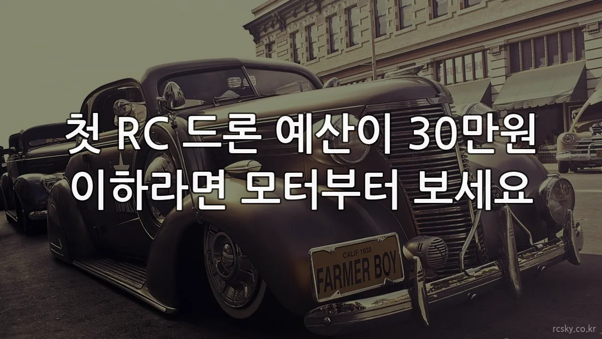 첫 RC 드론 예산이 30만원 이하라면 모터부터 보세요