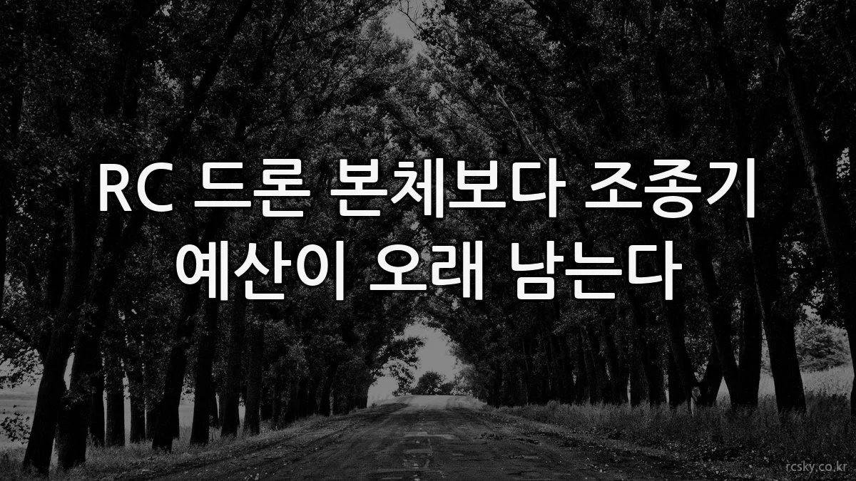 RC 드론 본체보다 조종기 예산이 오래 남는다