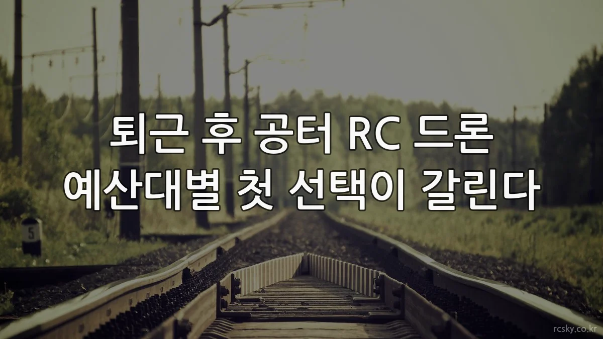 퇴근 후 공터 RC 드론 예산대별 첫 선택이 갈린다