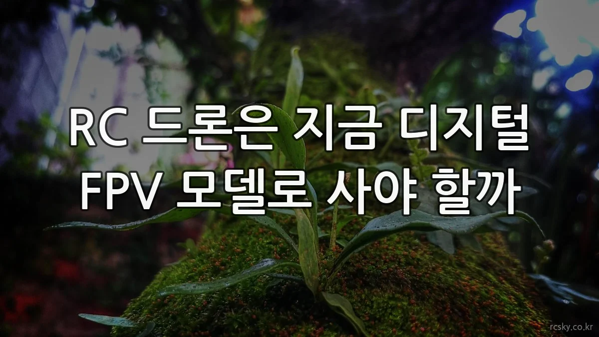 RC 드론은 지금 디지털 FPV 모델로 사야 할까