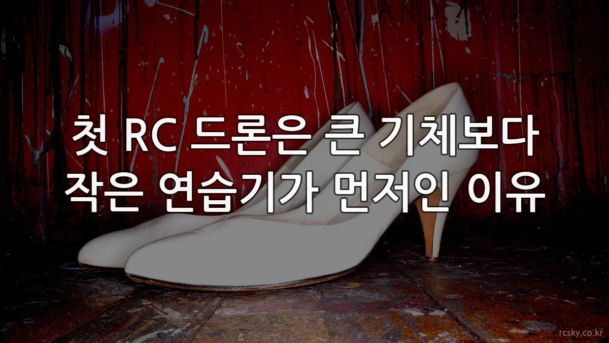 첫 RC 드론은 큰 기체보다 작은 연습기가 먼저인 이유