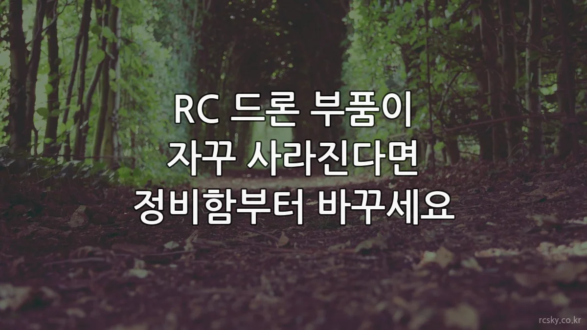 RC 드론 부품이 자꾸 사라진다면 정비함부터 바꾸세요