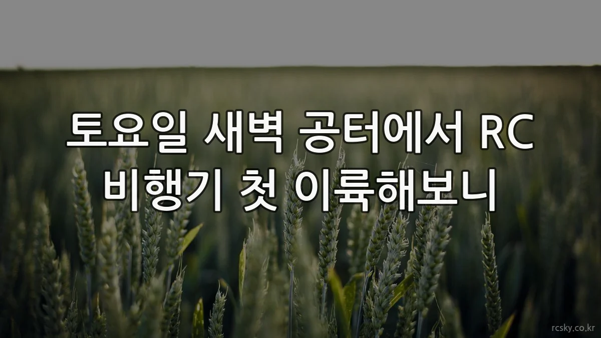 토요일 새벽 공터에서 RC 비행기 첫 이륙해보니