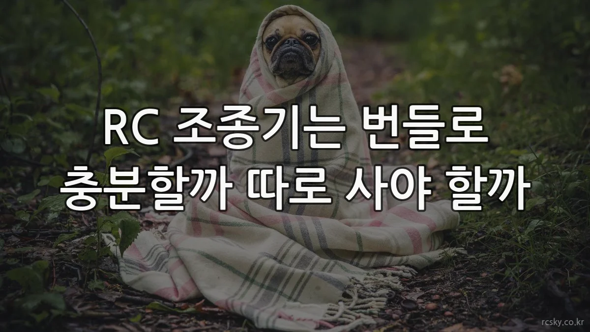 RC 조종기는 번들로 충분할까 따로 사야 할까