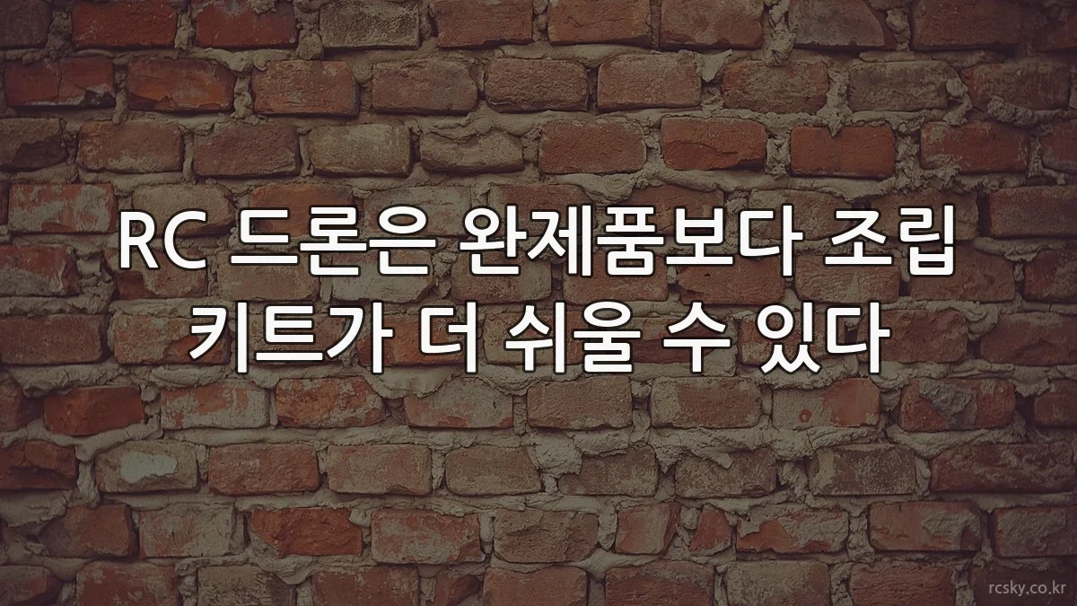 RC 드론은 완제품보다 조립 키트가 더 쉬울 수 있다
