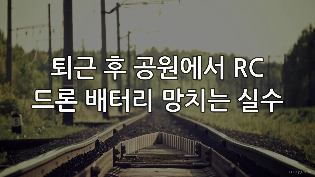 퇴근 후 공원에서 RC 드론 배터리 망치는 실수