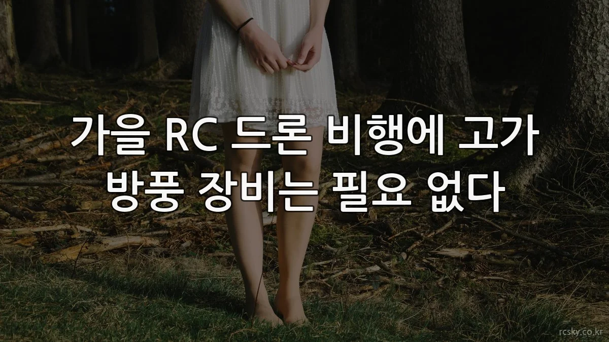 가을 RC 드론 비행에 고가 방풍 장비는 필요 없다