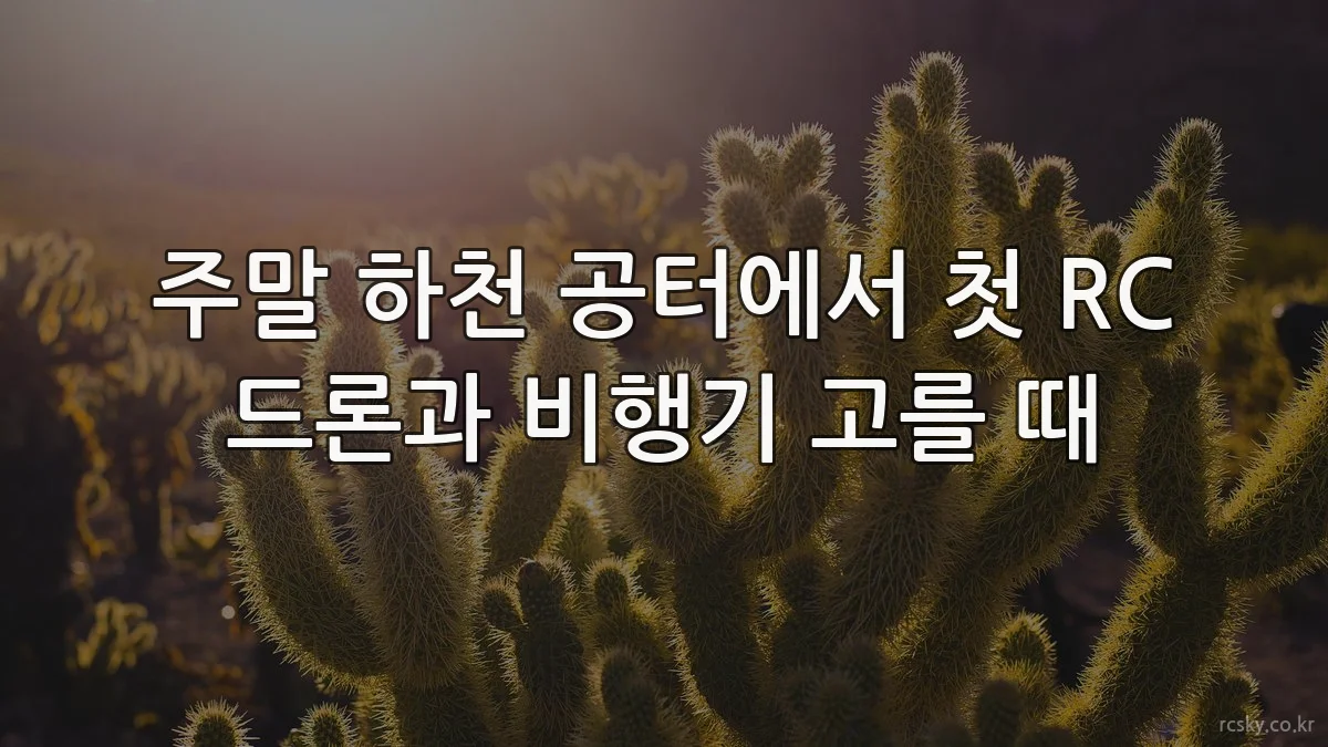주말 하천 공터에서 첫 RC 드론과 비행기 고를 때