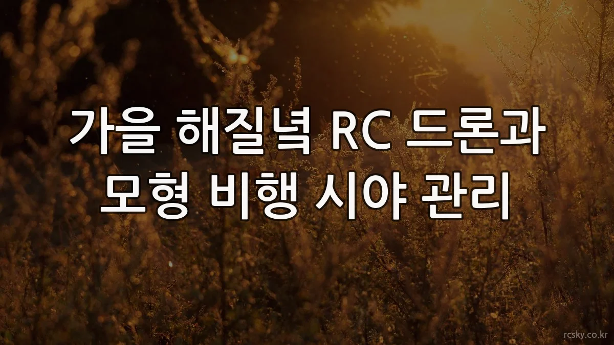 가을 해질녘 RC 드론과 모형 비행 시야 관리
