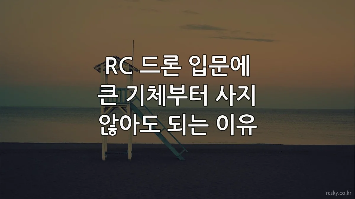 RC 드론 입문에 큰 기체부터 사지 않아도 되는 이유