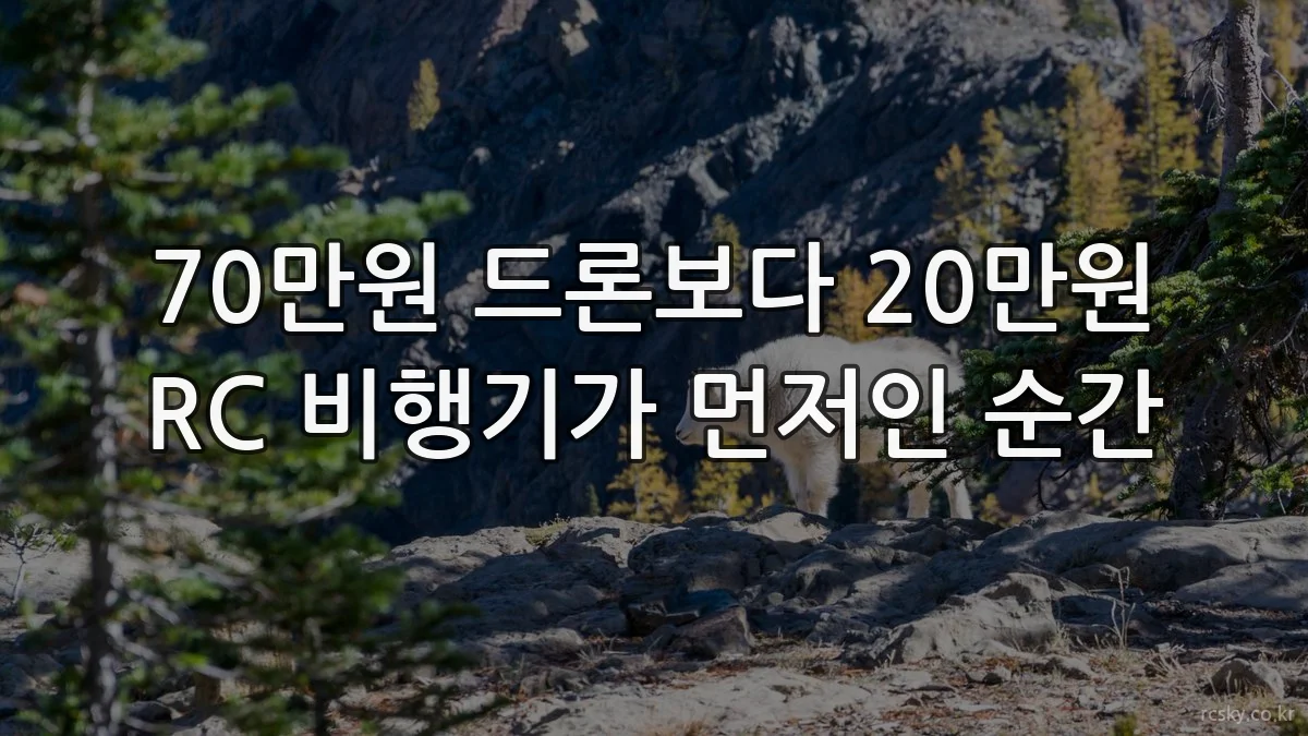70만원 드론보다 20만원 RC 비행기가 먼저인 순간