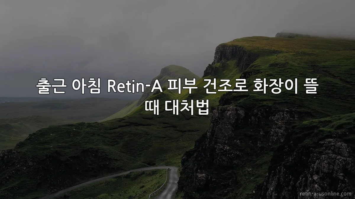 출근 아침 Retin-A 피부 건조로 화장이 뜰 때 대처법